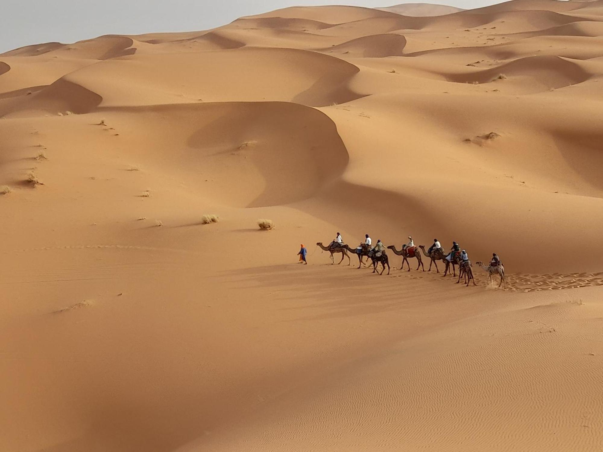 Luxury Camp Camelhouse Hotel Merzouga Ngoại thất bức ảnh