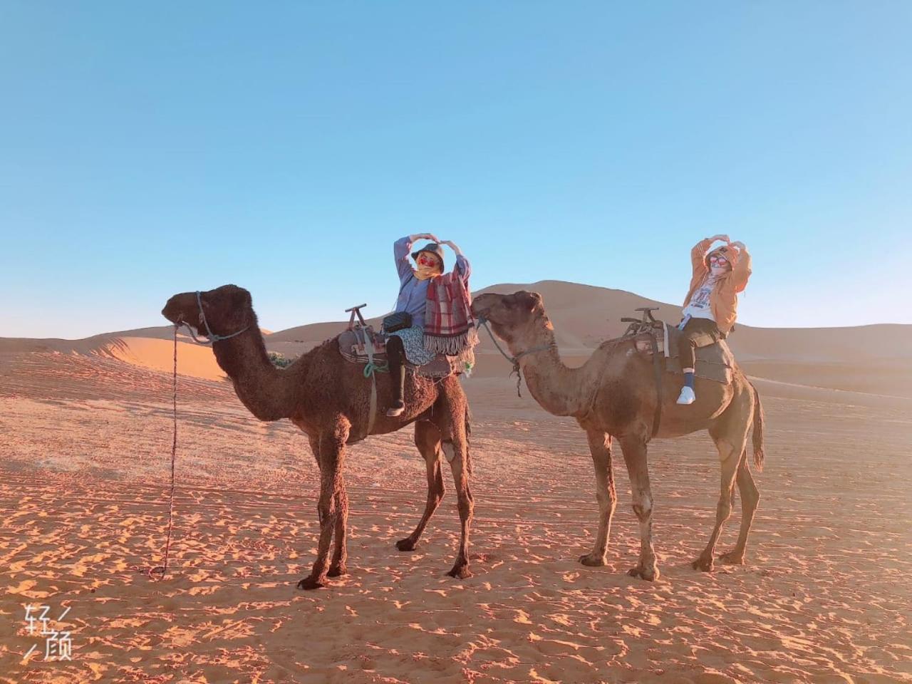 Luxury Camp Camelhouse Hotel Merzouga Ngoại thất bức ảnh